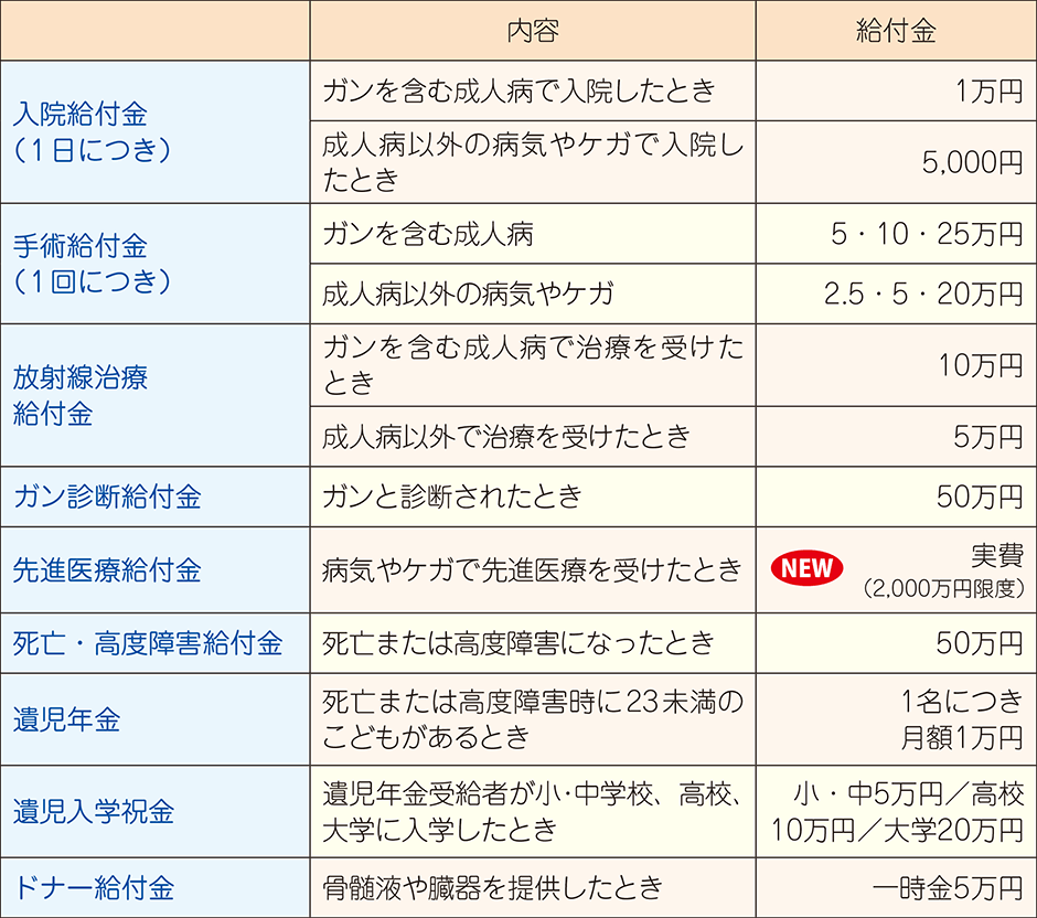 基本保障（例：5型）